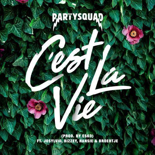 Coverafbeelding The Partysquad ft. Josylvio, Bizzey, Hansie & Broertje - C'est la vie