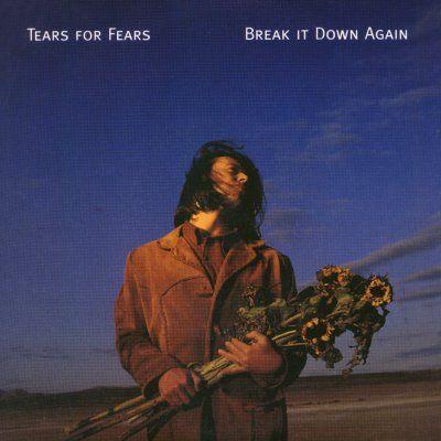 Coverafbeelding Break It Down Again - Tears For Fears