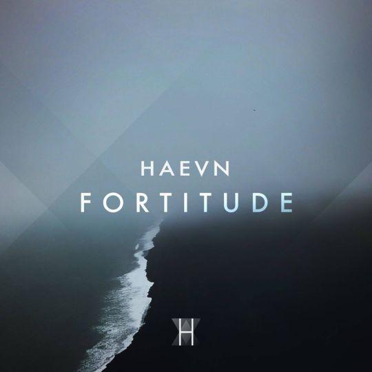 Coverafbeelding Fortitude - Haevn