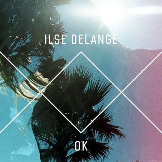 Coverafbeelding Ok - Ilse Delange