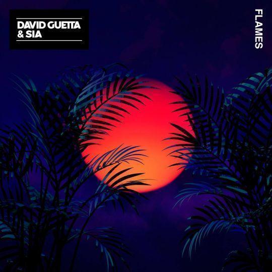 Coverafbeelding Flames - David Guetta & Sia