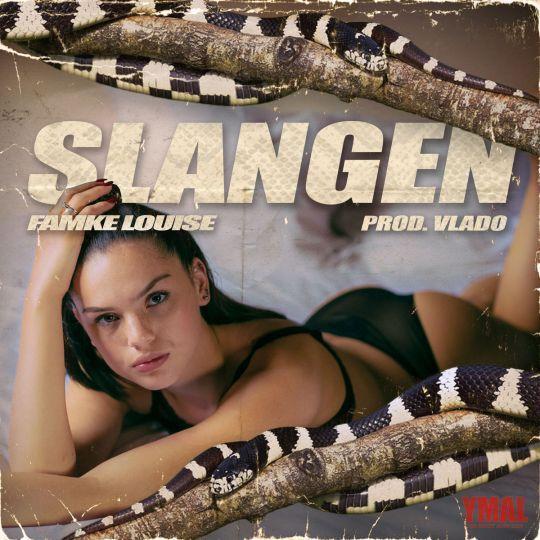 Coverafbeelding Slangen - Famke Louise