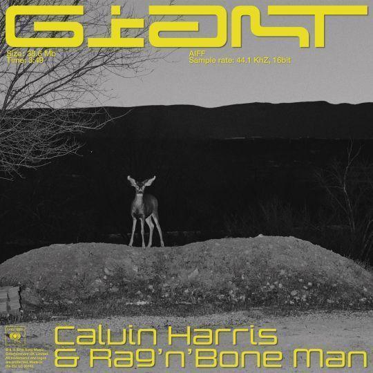 Coverafbeelding Calvin Harris & Rag'n'Bone Man - Giant