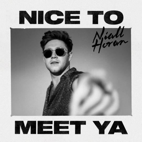 Coverafbeelding Nice To Meet Ya - Niall Horan
