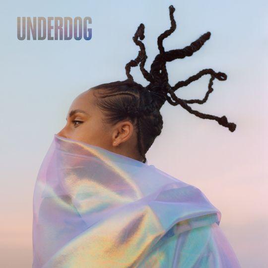 Coverafbeelding Underdog - Alicia Keys