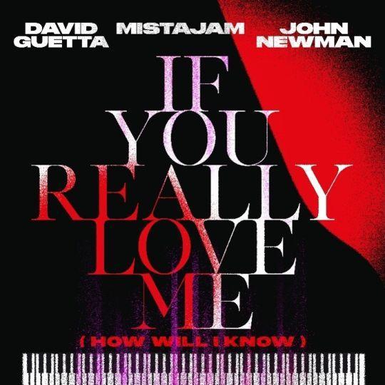 Coverafbeelding If You Really Love Me (How Will I Know) - David Guetta X Mistajam X John Newman