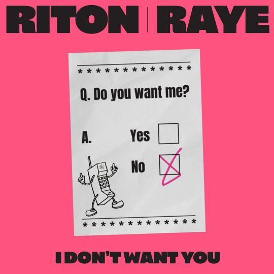 Coverafbeelding I Don't Want You - Riton X Raye