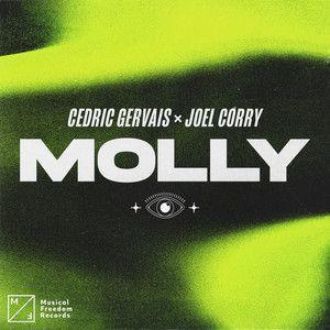 Coverafbeelding Cedric Gervais x Joel Corry - Molly
