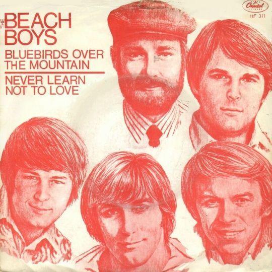 Coverafbeelding Bluebirds Over The Mountain - The Beach Boys