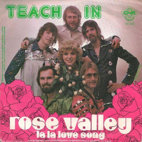Coverafbeelding Rose Valley - Teach In