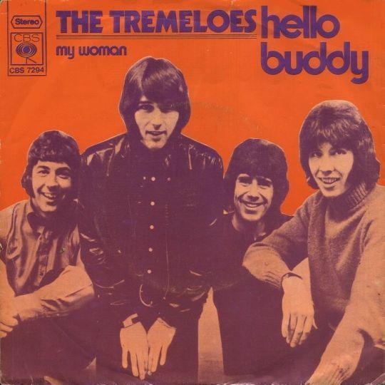 Coverafbeelding Hello Buddy - The Tremeloes