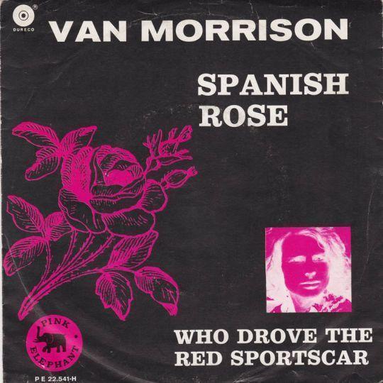 Coverafbeelding Spanish Rose - Van Morrison