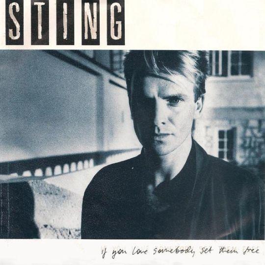 Coverafbeelding Sting - If You Love Somebody Set Them Free