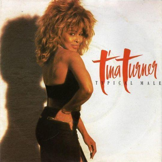 Coverafbeelding Tina Turner - Typical Male