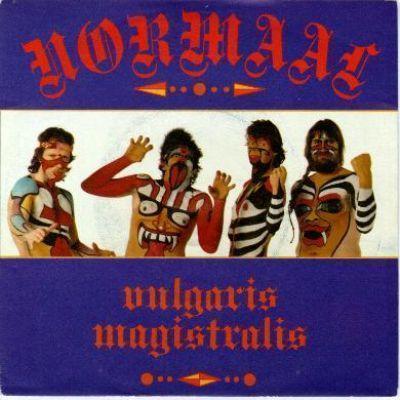 Coverafbeelding Normaal - Vulgaris Magistralis