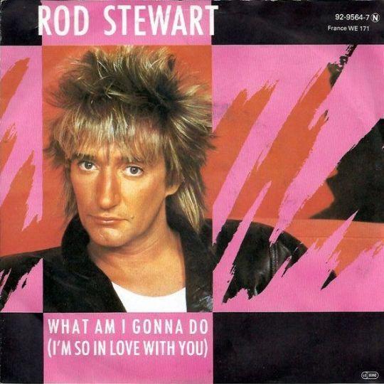 Coverafbeelding What Am I Gonna Do (I'm So In Love With You) - Rod Stewart