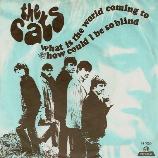 Coverafbeelding The Cats - What Is The World Coming To