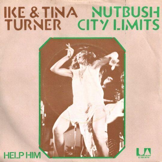 Coverafbeelding Nutbush City Limits - Ike & Tina Turner