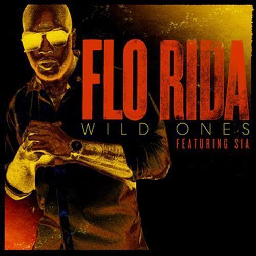 Coverafbeelding Wild Ones - Flo Rida Featuring Sia