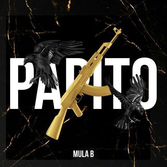Coverafbeelding Papito - Mula B