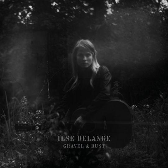 Coverafbeelding Gravel & Dust - Ilse Delange