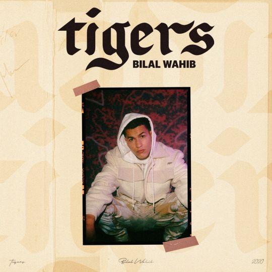 Coverafbeelding Tigers - Bilal Wahib
