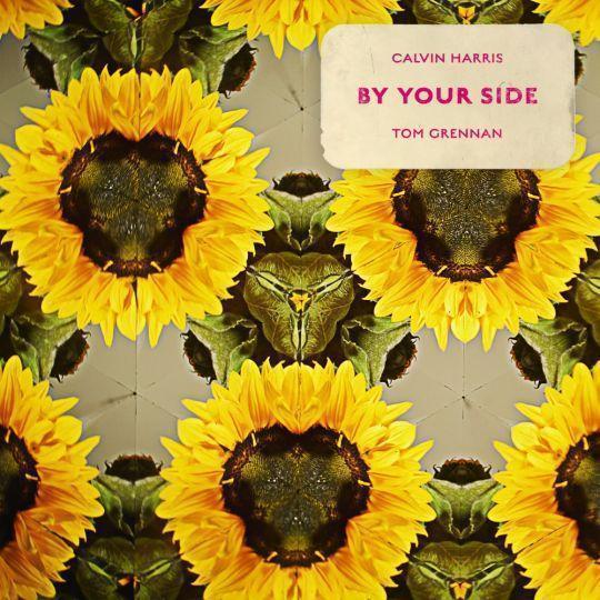 Coverafbeelding Calvin Harris feat. Tom Grennan - By Your Side