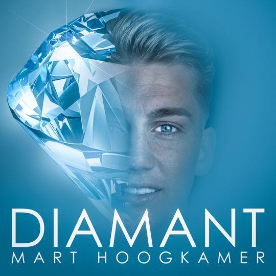 Coverafbeelding Mart Hoogkamer - Diamant