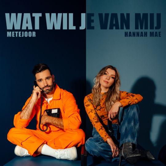Coverafbeelding Wat Wil Je Van Mij - Metejoor & Hannah Mae