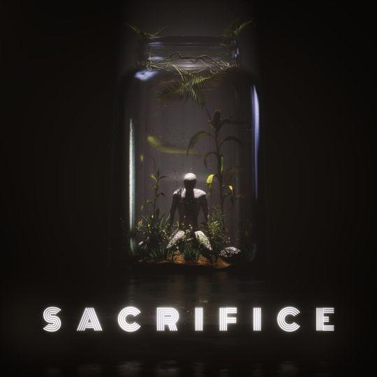 Coverafbeelding Kx5 & Sofi Tukker - Sacrifice