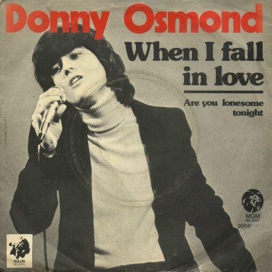 Coverafbeelding When I Fall In Love - Donny Osmond