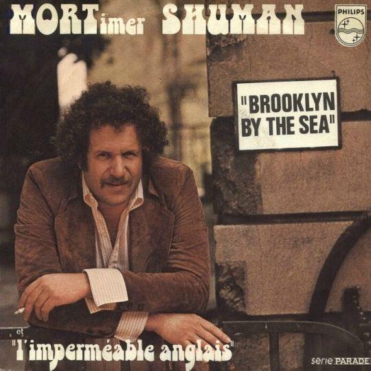 Coverafbeelding Brooklyn By The Sea - Mortimer Shuman