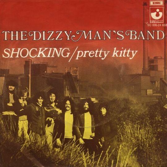 Coverafbeelding Shocking - The Dizzy Man's Band