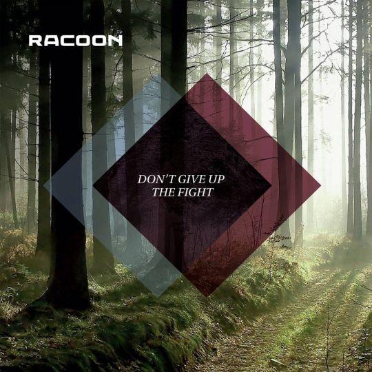 Coverafbeelding Don't Give Up The Fight - Racoon