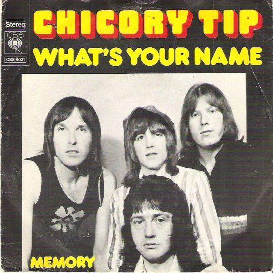 Coverafbeelding What's Your Name - Chicory Tip