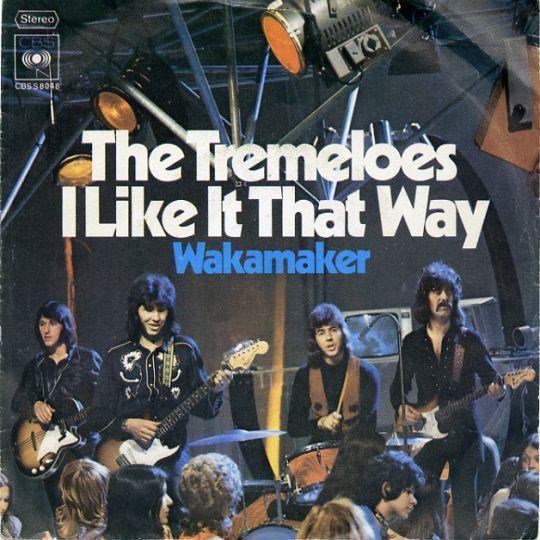 Coverafbeelding I Like It That Way - The Tremeloes