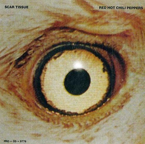 Coverafbeelding Scar Tissue - Red Hot Chili Peppers