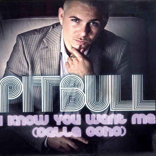 Coverafbeelding I Know You Want Me (Calle Ocho) - Pitbull