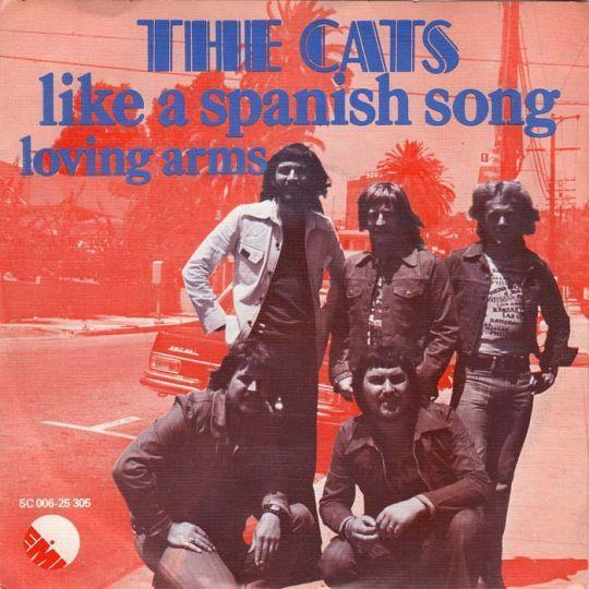 Coverafbeelding Like A Spanish Song - The Cats