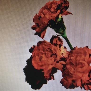 Coverafbeelding Made To Love - John Legend