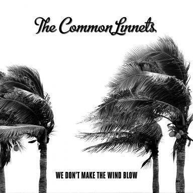 Coverafbeelding We Don't Make The Wind Blow - The Common Linnets