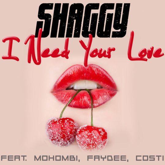 Coverafbeelding I Need Your Love - Shaggy Feat. Mohombi, Faydee, Costi
